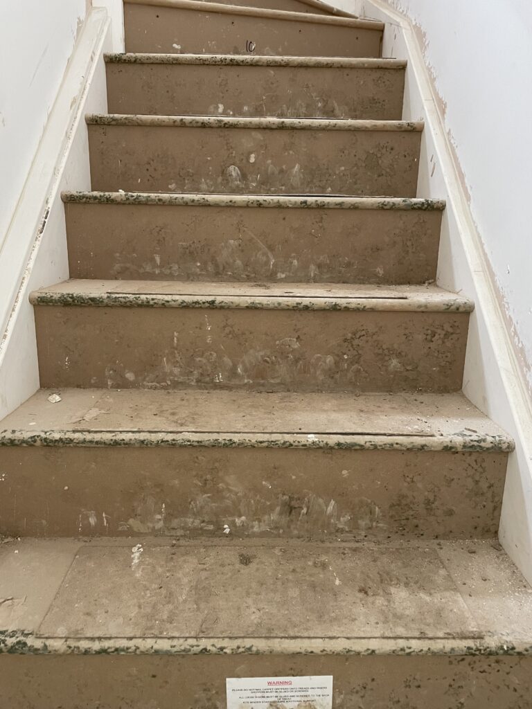 Mould on stairs