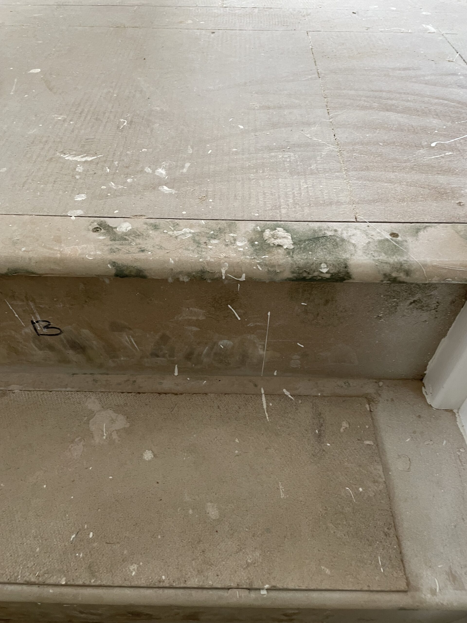 Introduction to Damp and Mould in New Builds